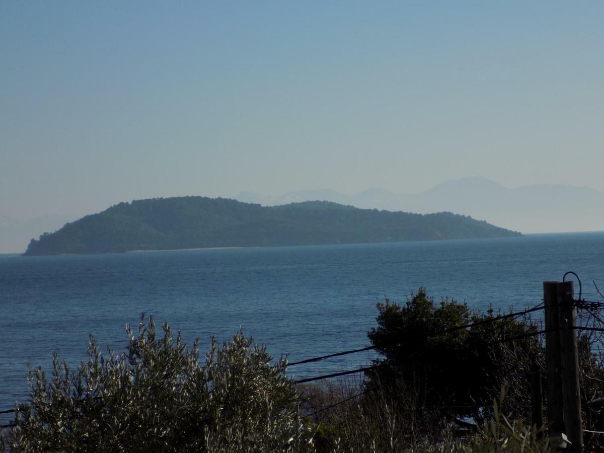Rhodon House Διαμέρισμα Σκιάθος Πόλη Εξωτερικό φωτογραφία